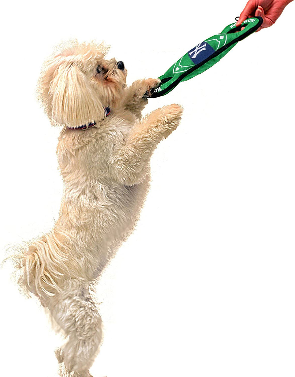 MLB NEW YORK YANKEES BASEBALL FIELD DOG TOY