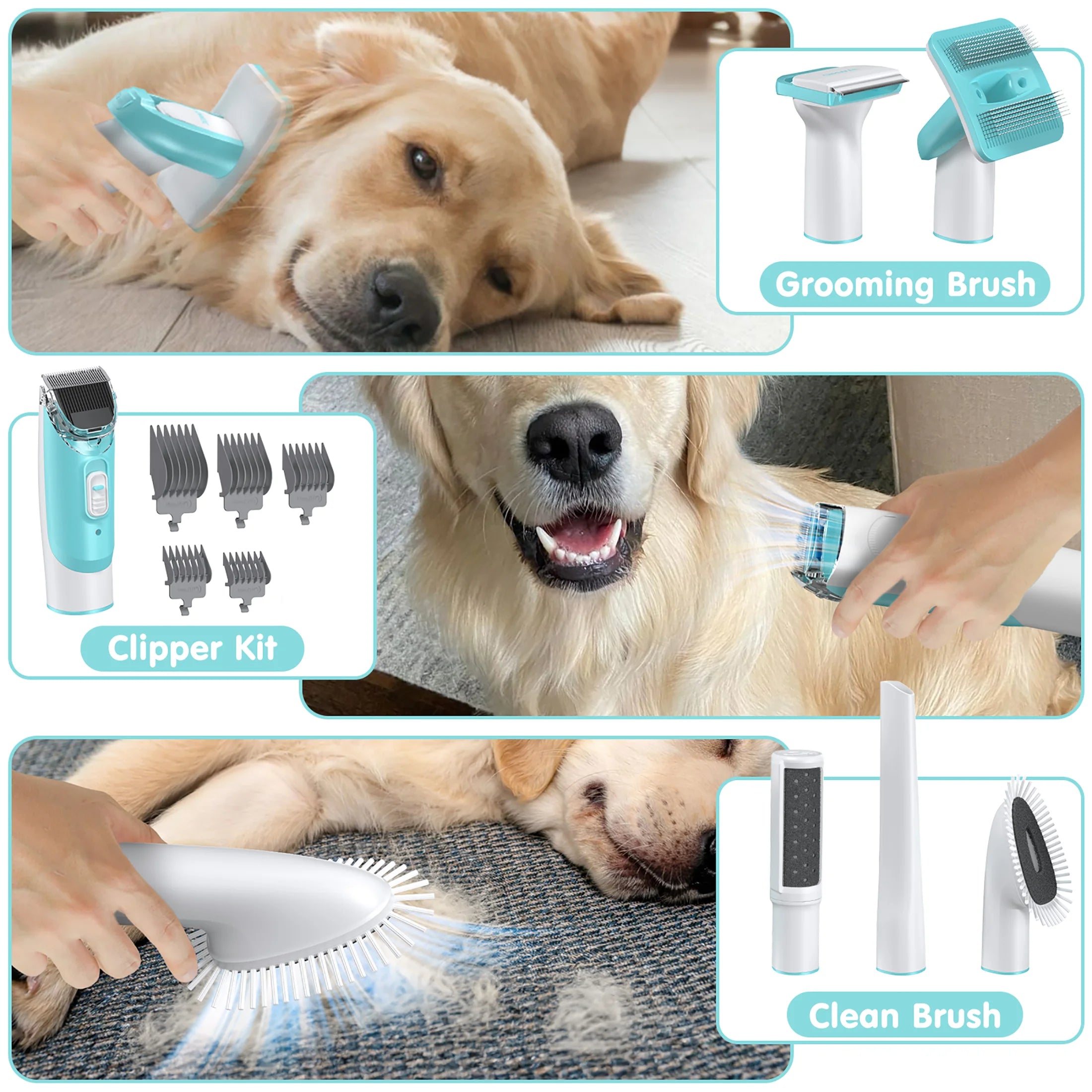 6-In-1 Professional Dog Grooming Vacuum Kit - Powerful 11000PA Suction & 1.5L Capacity for 99% Hair Removal with Complete Grooming Tools