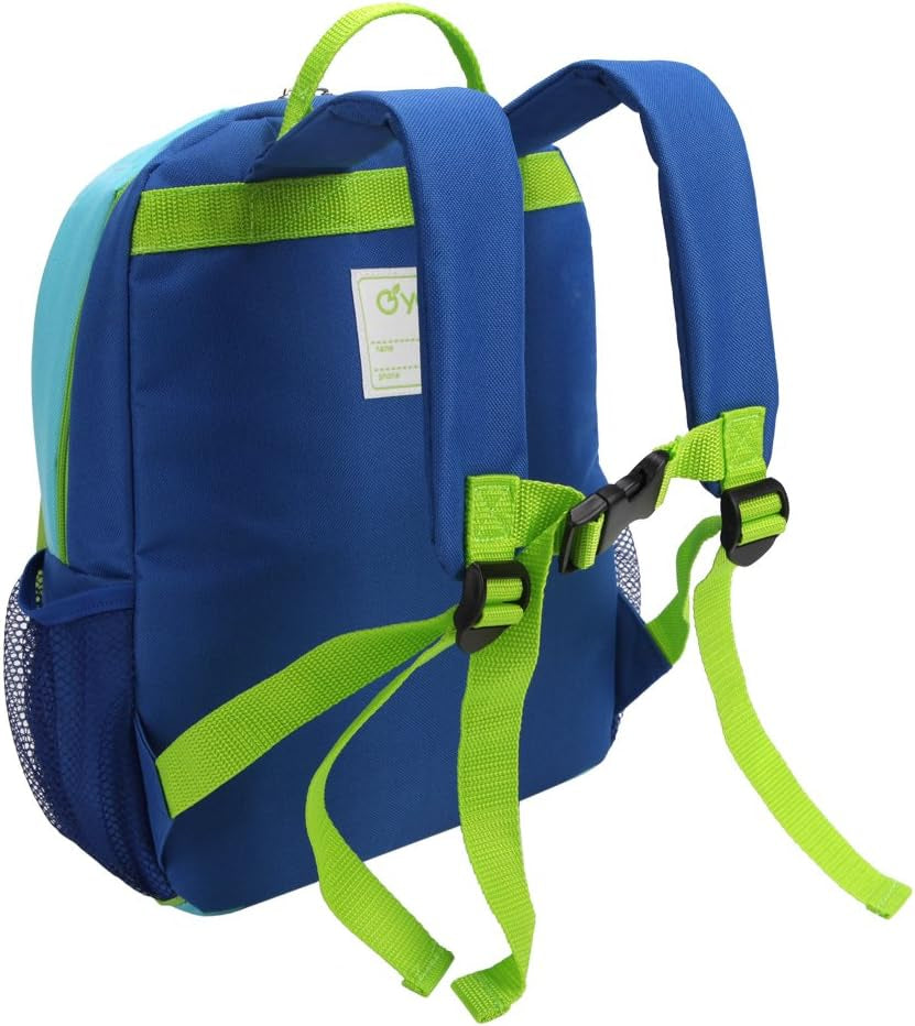 Toddler Backpack - Cute Pre-K School Bag with Name Tag & Chest Strap
