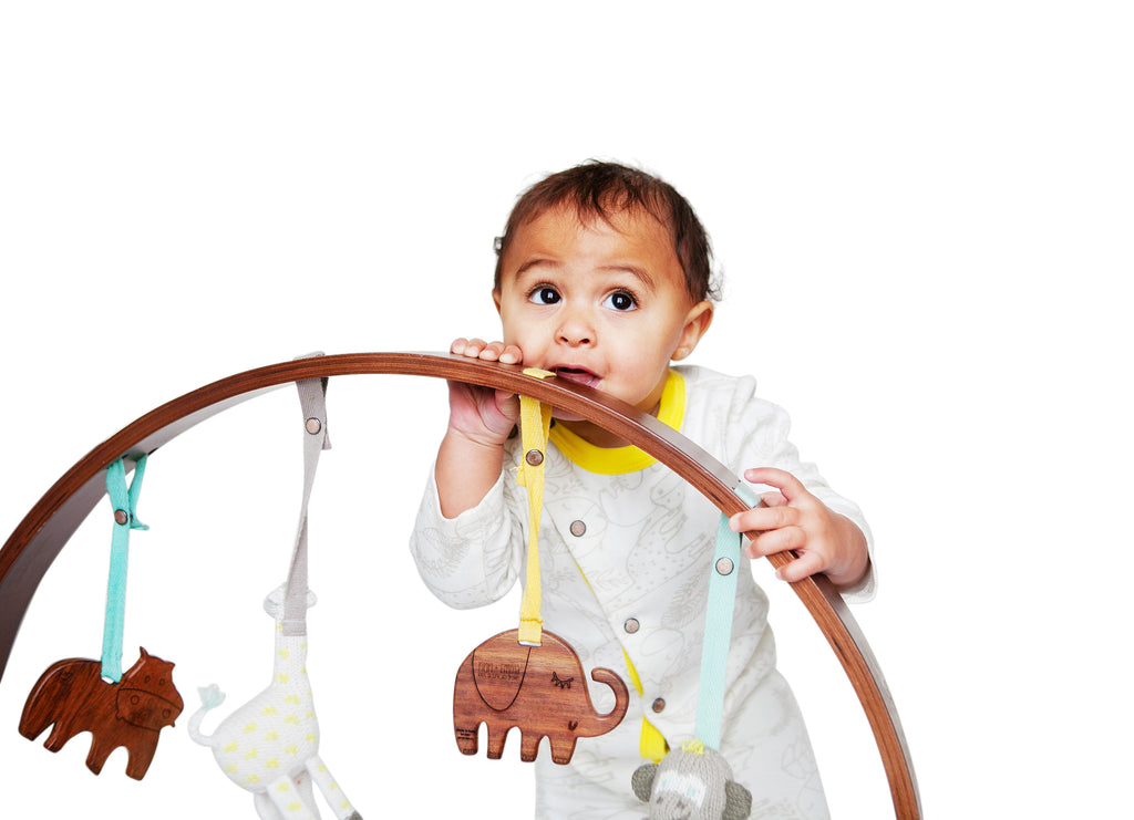 2 PC. STROLLER/TOY/AMELIA & PIPER