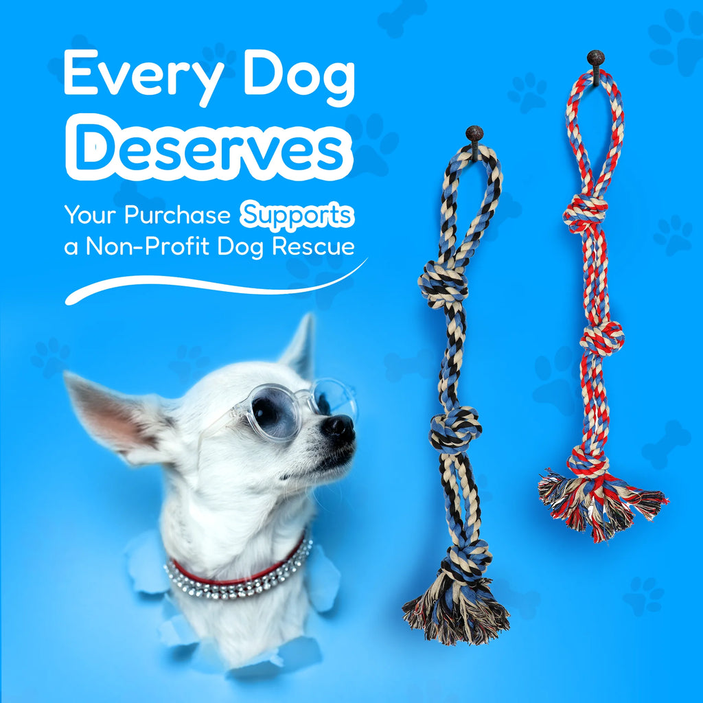 ULTIMATE PACK OF 4 DURABLE DOG TOYS FOR AGGRESSIVE CHEWERS