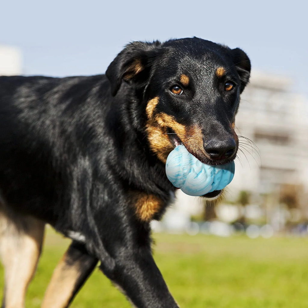 INTERACTIVE DOG TOY: RUBBER TREAT DISPENSER & CHEW TOY