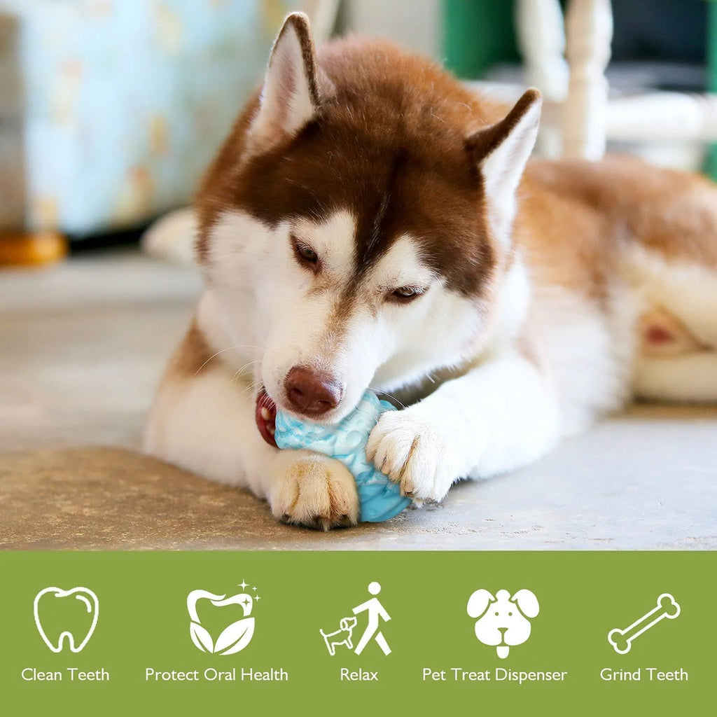 INTERACTIVE DOG TOY: RUBBER TREAT DISPENSER & CHEW TOY