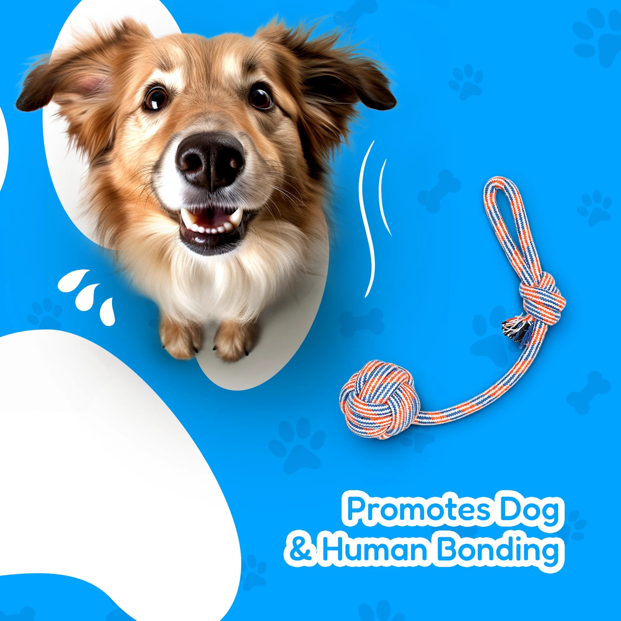 ULTIMATE PACK OF 4 DURABLE DOG TOYS FOR AGGRESSIVE CHEWERS