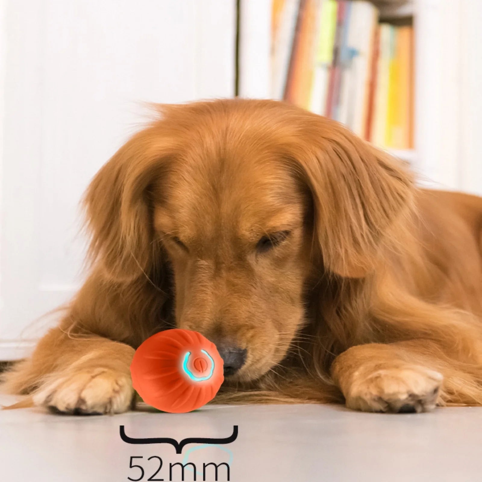 Interactive Smart Jumping Ball for Dogs - Automatic Moving & Bouncing Toy for Small to Medium Pets - Fun & Engaging Gift!
