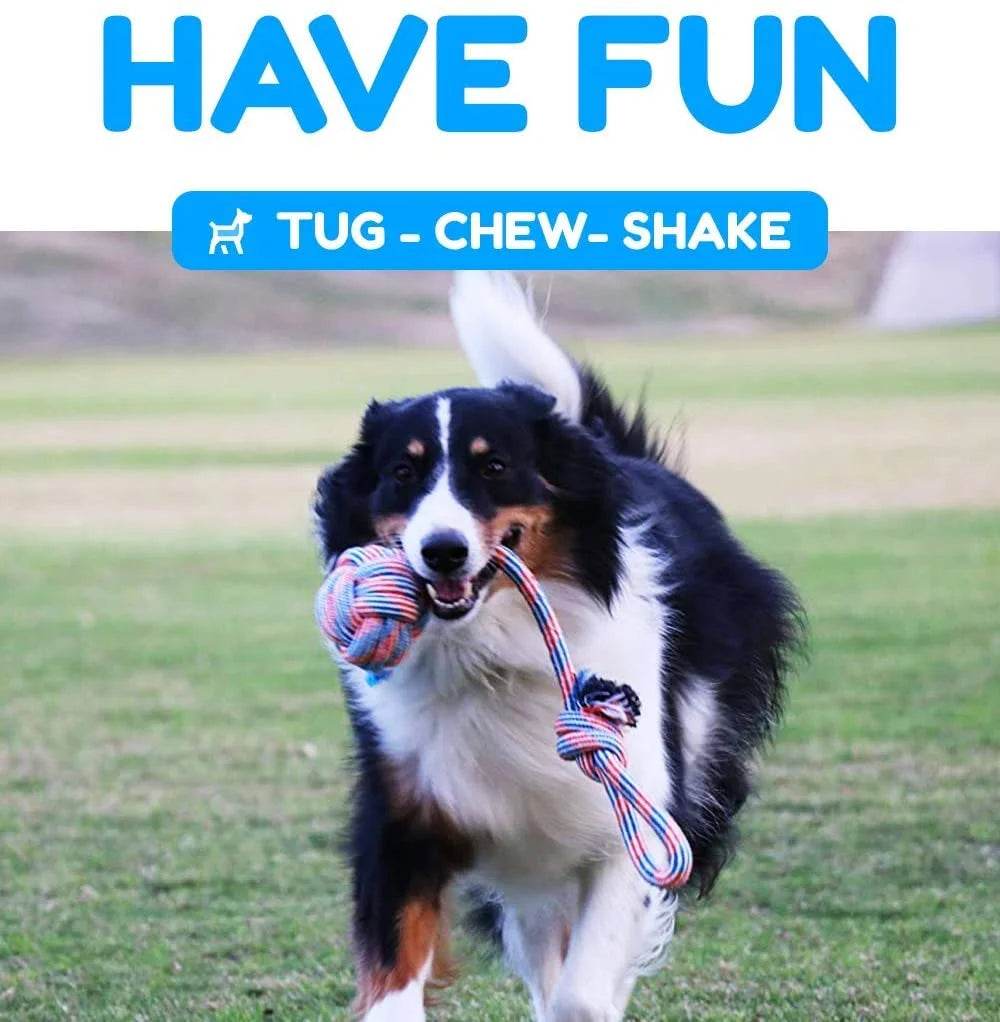 ULTIMATE PACK OF 4 DURABLE DOG TOYS FOR AGGRESSIVE CHEWERS