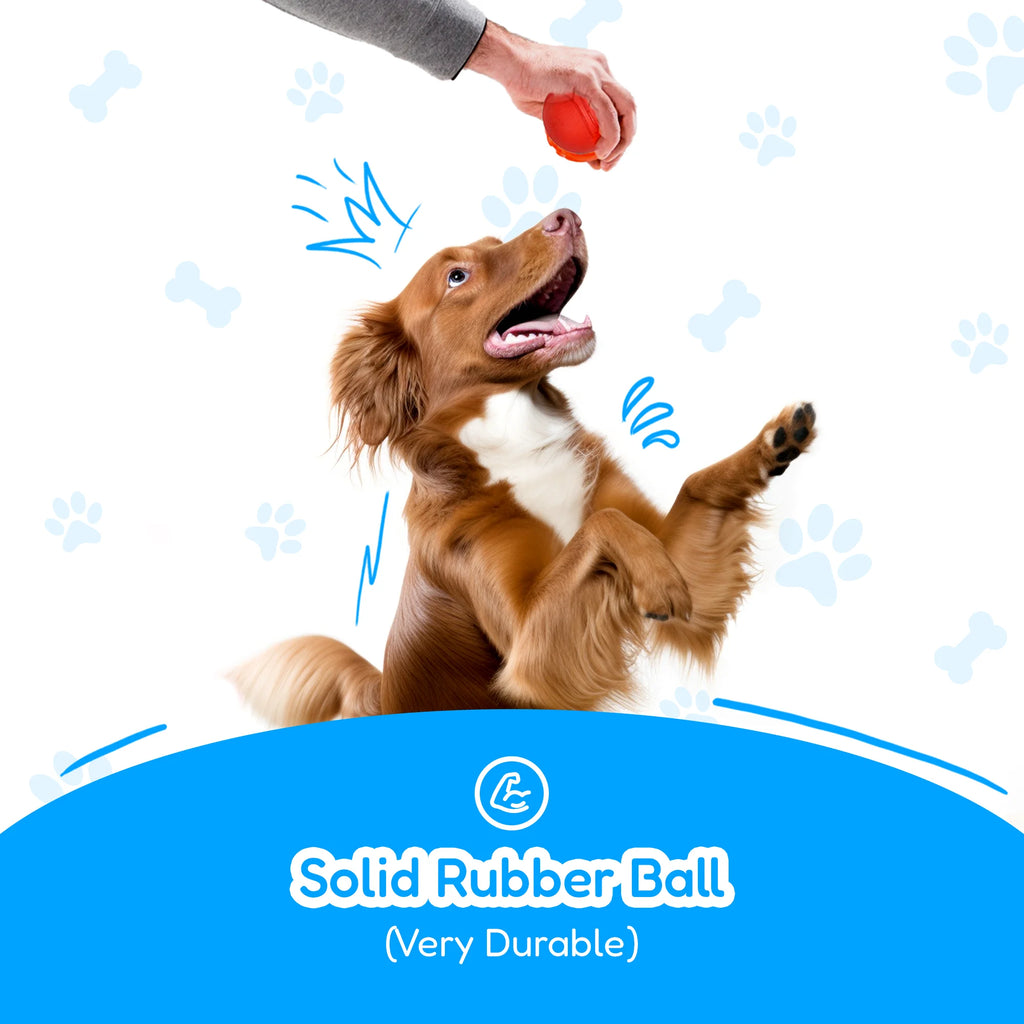 ULTIMATE PACK OF 4 DURABLE DOG TOYS FOR AGGRESSIVE CHEWERS