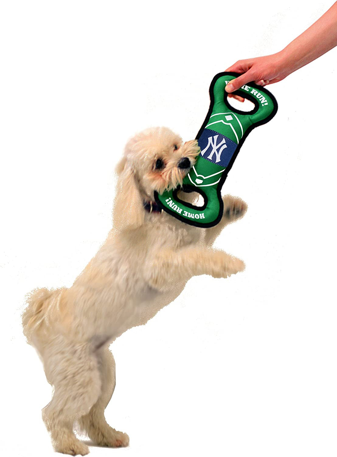 MLB NEW YORK YANKEES BASEBALL FIELD DOG TOY