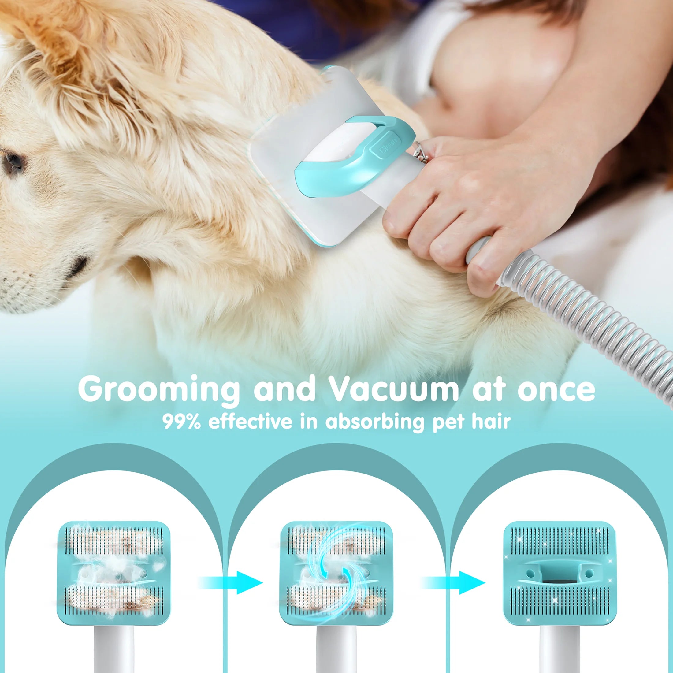 6-In-1 Professional Dog Grooming Vacuum Kit - Powerful 11000PA Suction & 1.5L Capacity for 99% Hair Removal with Complete Grooming Tools